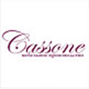 Логотип компании Cassone (Киев)