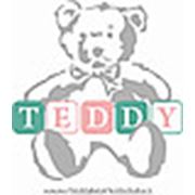 Логотип компании Teddy Bear Kids Club Детский Центр (Алматы)