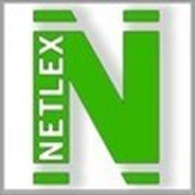 Логотип компании NETLEX (Новосибирск)