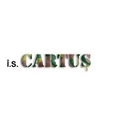 Логотип компании Cartus, IS (Кишинев)