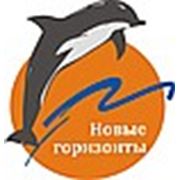 Логотип компании ООО “НИЦСБ “НОВЫЕ ГОРИЗОНТЫ“ (Омск)