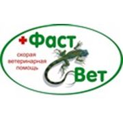 Логотип компании Cкорая ветеринарная помощь «ФастВет» (Киев)