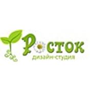 Логотип компании Дизайн-студия “Росток“ (Воронеж)