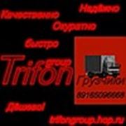 Логотип компании Trifon group (Москва)