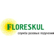 Логотип компании Днепродзержинская Служба Разовых Поручений (Каменское)