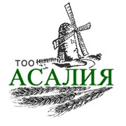 Логотип компании Асалия (Костанай)