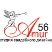Логотип компании И.П. Анисимова Н.В. (Оренбург)