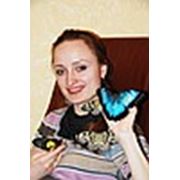 Логотип компании интернет-магазин “Живые бабочки“. (Киев)