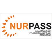 Логотип компании NURPASS (Павлодар)