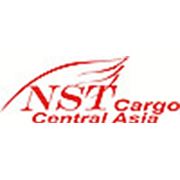 Логотип компании “NST cargo“ (Алматы)