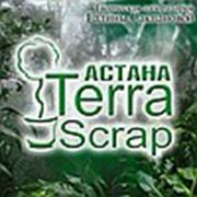 Логотип компании TerraScrapAstana (Астана)