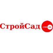 Логотип компании ООО “Ботаника Днепр“ (Киев)