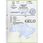 Логотип компании GELO (Харьков)
