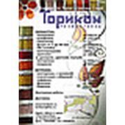 Логотип компании ООО “Ториком“ (Екатеринбург)
