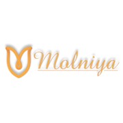 Логотип компании Молния, ПАО (Барышевка)