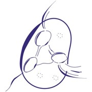 Логотип компании Центр Лимфохирургии им. Н.Шматкова ЛЦЩ, ООО (Харцызск)