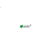 Логотип компании Amity Consulting, ООО (Киев)