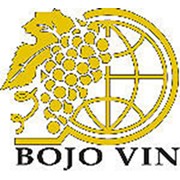 Логотип компании Bojo-Vin (Божо-Вин), ООО (Ватра)