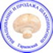 Логотип компании ТатьянаПроизводитель (Мукачево)