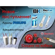 Логотип компании BayKaz Electric, ТОО (Алматы)