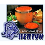 Логотип компании Торговый Дом “Нептун, ООО (Москва)