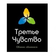 Логотип компании 3 Чувство (Астана)