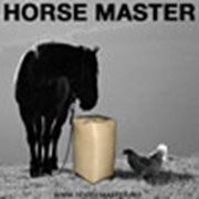 Логотип компании Horsemaster (Хорсмастер), ООО (Орлово)
