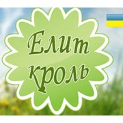 Логотип компании Племенное СП Элит Кроль, ООО (Бровары)