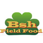 Логотип компании BSh Field Food (БСх Филд Фуд), ТОО (Алматы)
