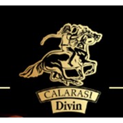 Логотип компании Calaras Divin (Калараш Дивин), SA (Кэлэраш)