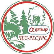 Логотип компании Альфа, ООО (Рыбинск)