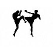 Логотип компании СК “Файт“ (Винница)
