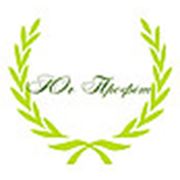 Логотип компании ООО “ЮГ ПРОФИТ“ (Херсон)