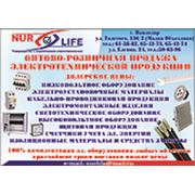 Логотип компании ТОО “NUR LIFE“ (Павлодар)