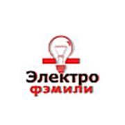 Логотип компании ООО «Электрофэмили» (Гродно)