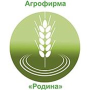 Логотип компании Агрофирма Родина (Кабанбай Батыр)