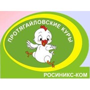 Логотип компании Росиникс-Ком, ООО (Бендеры)