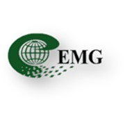 Логотип компании Emerging Markets Group (Емерджинг Маркетс Груп), ООО (Санкт-Петербург)