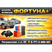 Логотип компании Фортуна-плюс,автомагазин, ИП (Усть-Каменогорск)