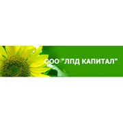 Логотип компании ЛПД Капитал, ООО (Донецк)