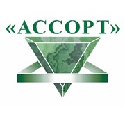 Логотип компании Ассо РТИ, ООО (Ижевск)
