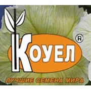 Логотип компании Коуэл, ЧП (Киев)