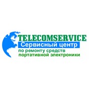 Логотип компании Telecomservice - Electronic systems (Киев)