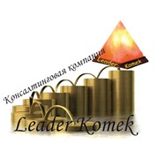Логотип компании Консалтинговая компания Leader Komek,ТОО (Шымкент)