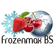 Логотип компании FrozenMax BS, TM (Ташкент)