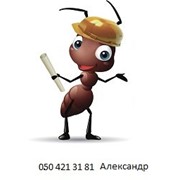 Логотип компании ООО“Муравей Трансбуд“ (Киев)
