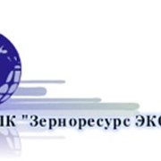 Логотип компании АПК Зерноресурс ЭКСПОРТ (Поворино)