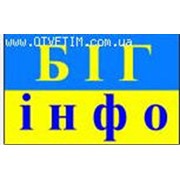 Логотип компании БИГ-ИНФО, ООО (Кременчуг)
