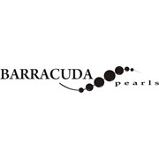 Логотип компании Барракуда (Киев)