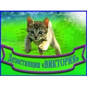 Логотип компании Виктория, ИП (Алматы)